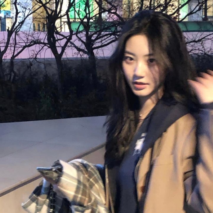 黑之契约者2:流星的双子
